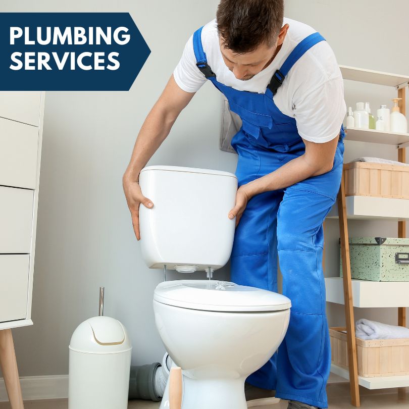 Plumbing Company in Gerlaw, IL